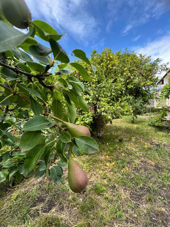 Casa Vacanze "Sautufao" Santa Venerina Bagian luar foto