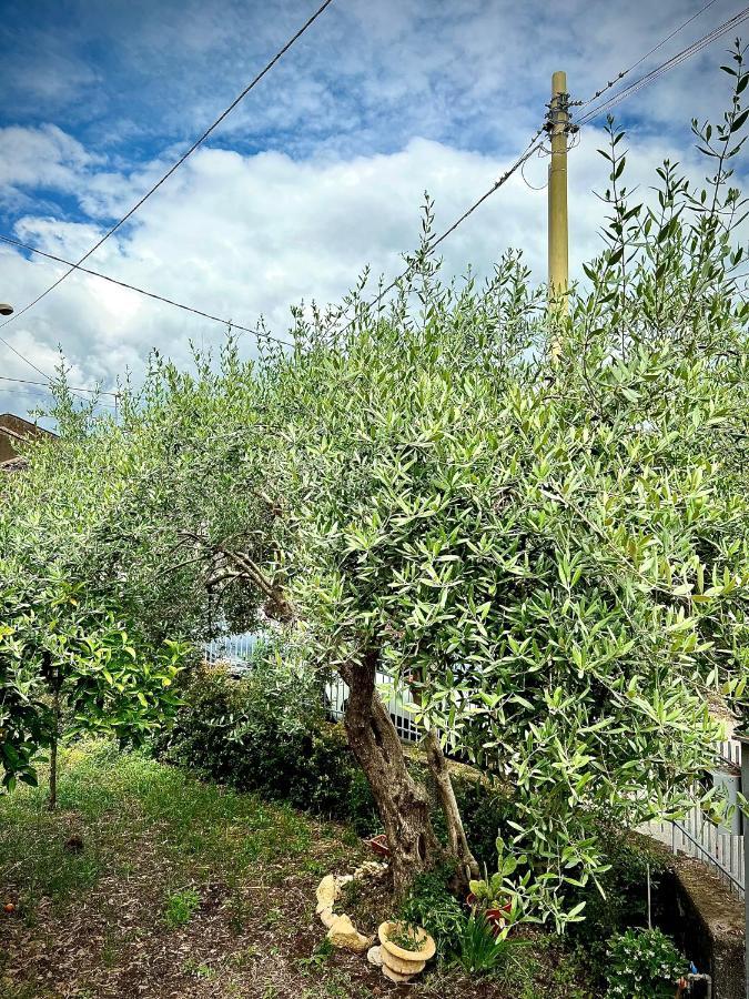 Casa Vacanze "Sautufao" Santa Venerina Bagian luar foto