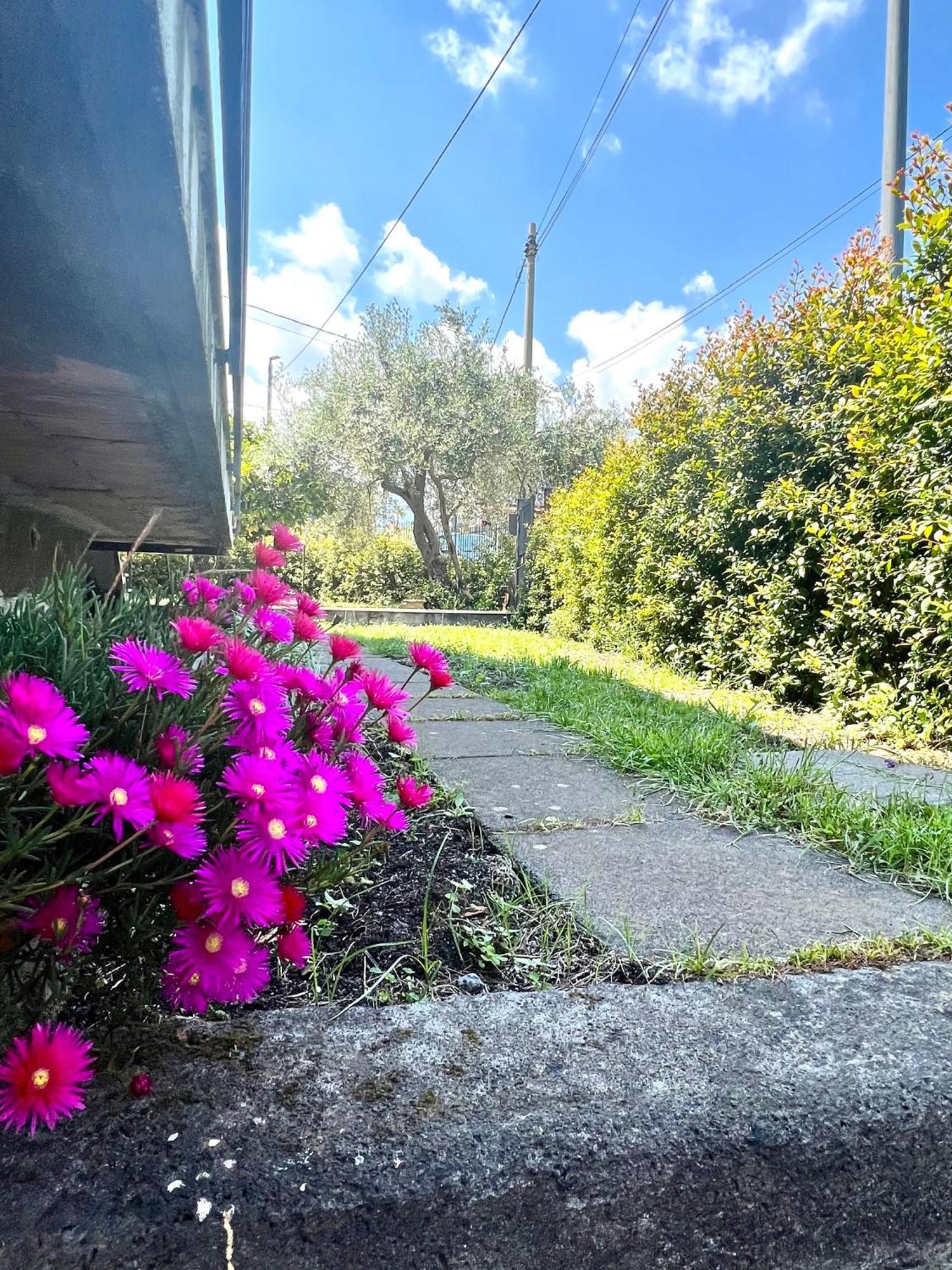 Casa Vacanze "Sautufao" Santa Venerina Bagian luar foto